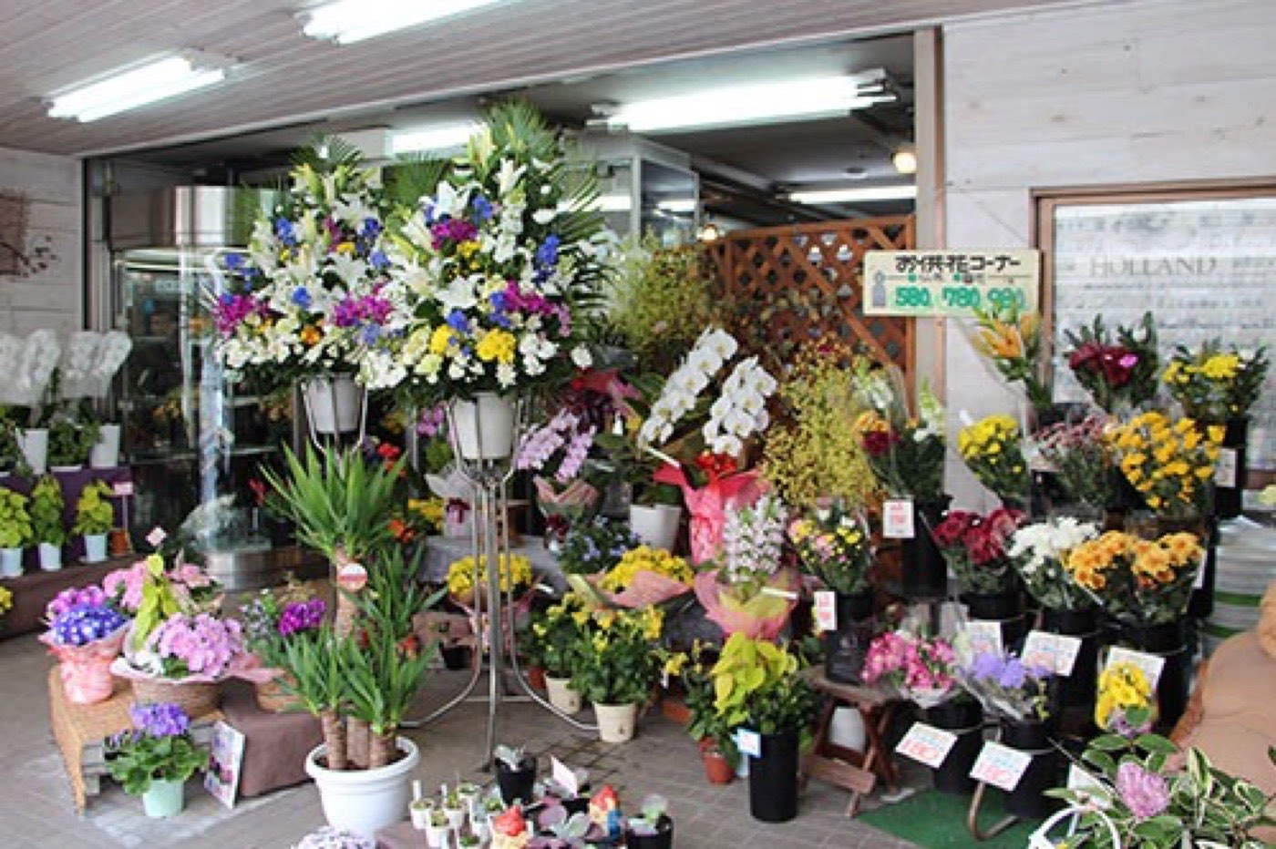 ナーセリーさぬい 福岡市城南区の店頭